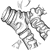 Detail of bronchi