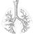 Bronchi
