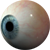 Eyeball